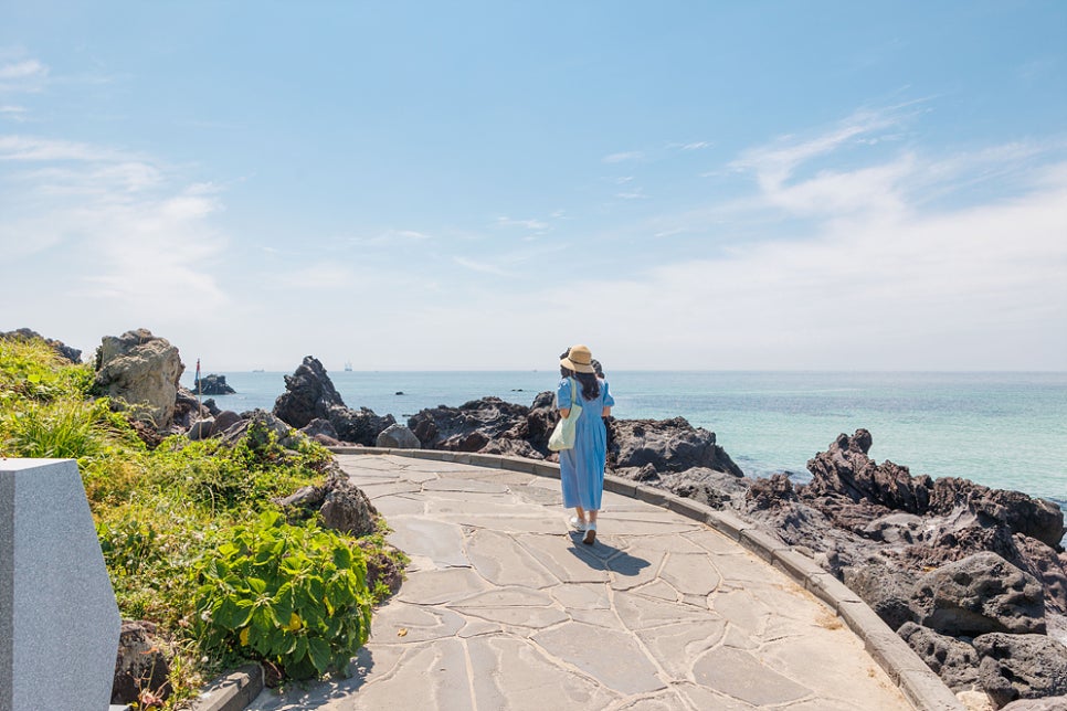 6월 제주도 가볼만한곳 제주도 수국명소 제주 마노르블랑 관광지