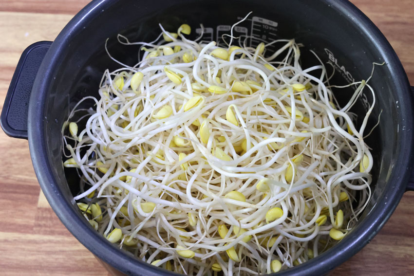 소고기 콩나물밥 양념장 전기밥솥 콩나물밥 만들기