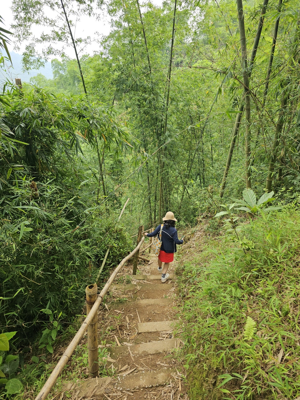 베트남 여행지 추천, GO LAO 폭포/바칸빌리지 주변 하이킹 3km 걷기