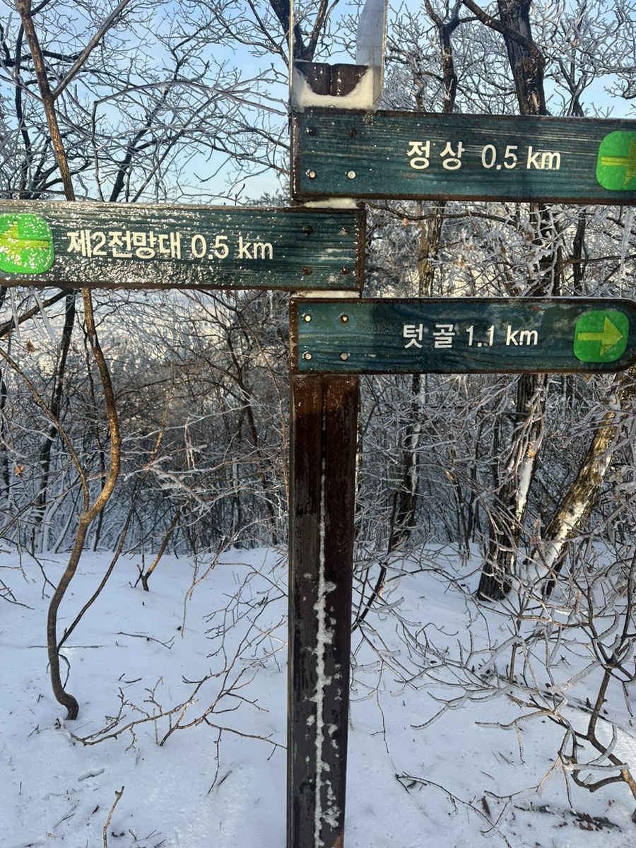 충주 계명산 최단코스 마즈막재 삼거리 원점회귀코스