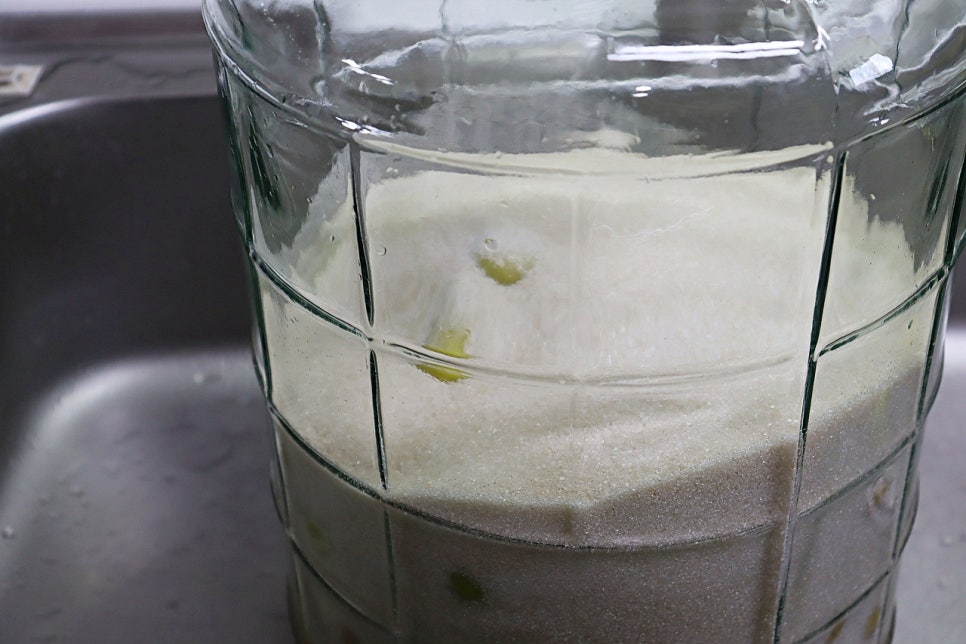 매실청 담그기 설탕 황매실청 담그는 시기 매실액기스 매실 담그는법