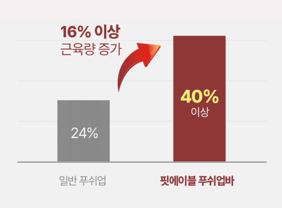 푸쉬업자세 핏에이블 스틸 푸쉬업바 팔굽혀펴기