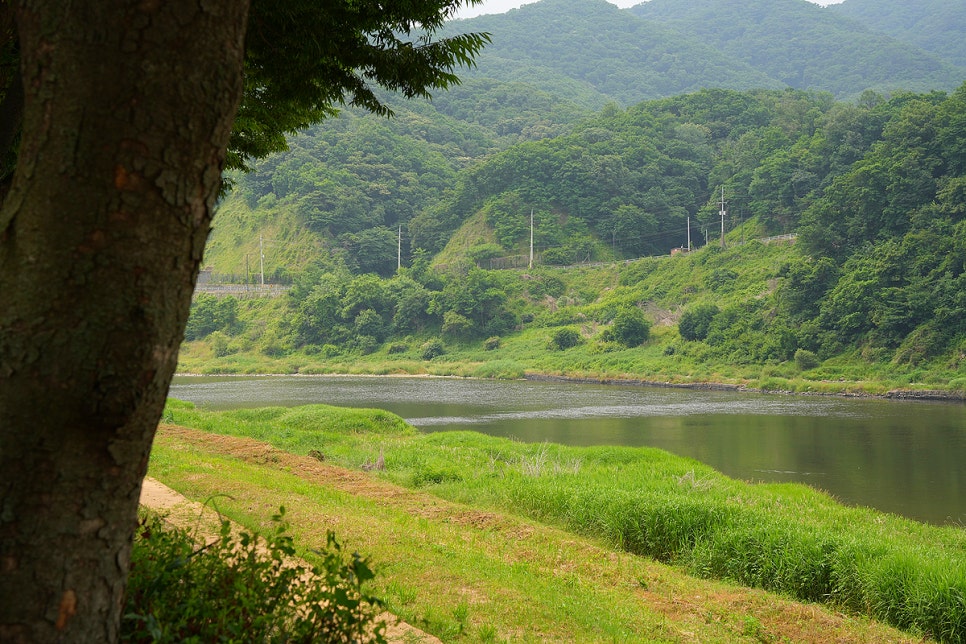 연천 한탄강오토캠핑장 캠핑후기 연천오토캠핑장 사이트, 그늘, 물놀이장 정보