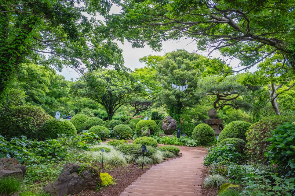 제주도 동쪽 여행 아이들과 가볼 만한 곳 스누피 가든 엄청 넓어!