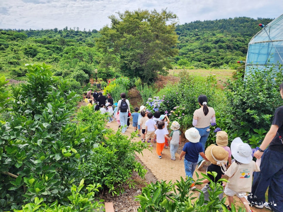 서귀포 무궁화 삼춘덜이영 고치 해보는 화분키우기 TOUR 서귀포어울림교육 사회적협동조합