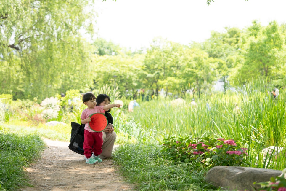 서울 창포원 나들이 - 어린이집 소풍으로 다녀온 자연학습체험장