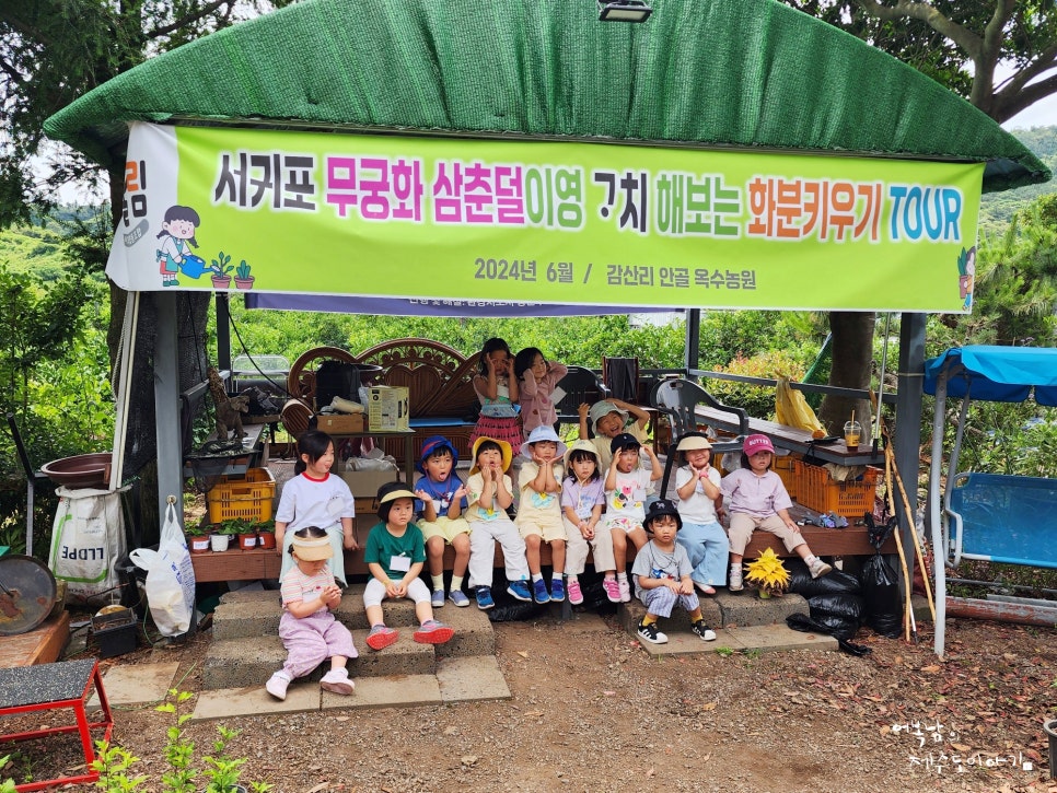 서귀포 무궁화 삼춘덜이영 고치 해보는 화분키우기 TOUR 서귀포어울림교육 사회적협동조합