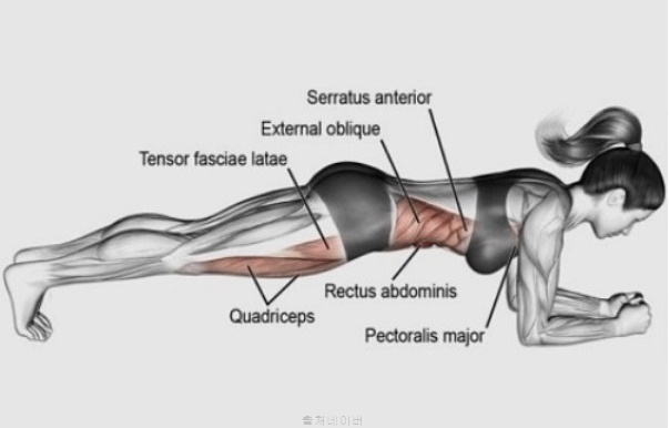 플랭크 운동 효과 보려면 자세 잘하는법