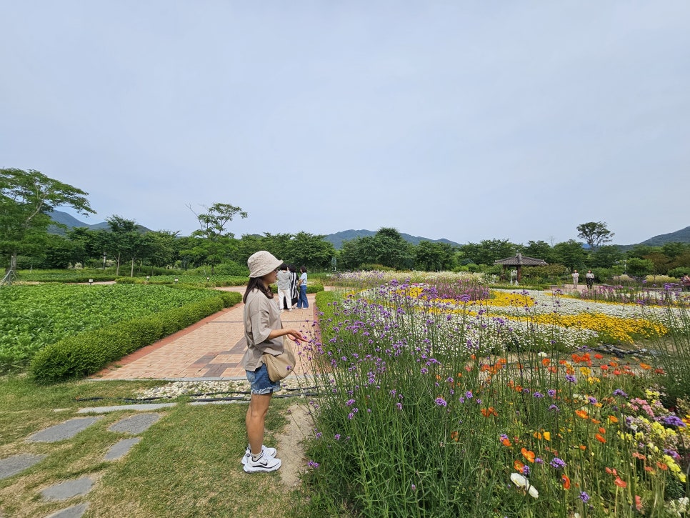 거창 여행 창포원 경남 꽃구경 추천