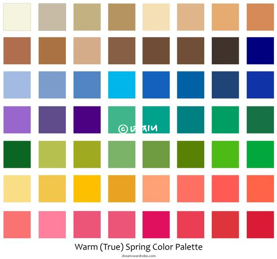 봄웜톤 트루 염색 옷 연예인 총정리