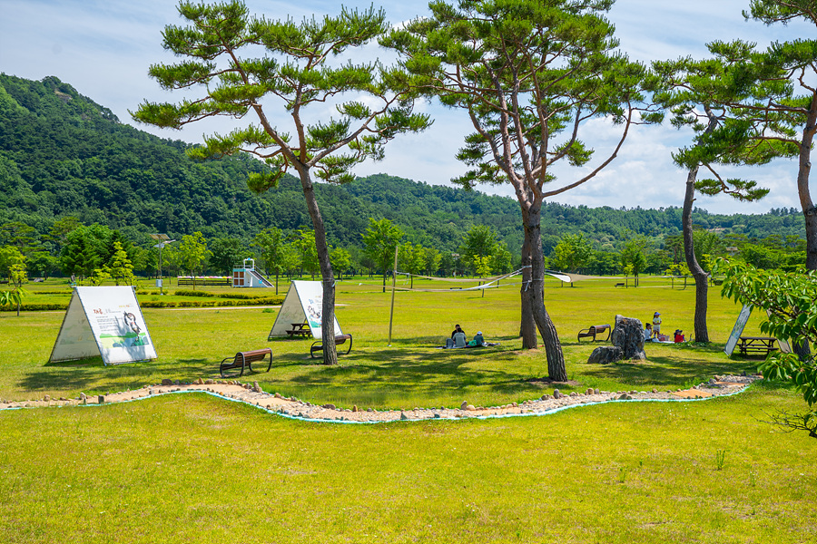 상주 경천섬 공원 낙동강 자전거길 캠핑장 경북 노지 차박 캠핑 장소