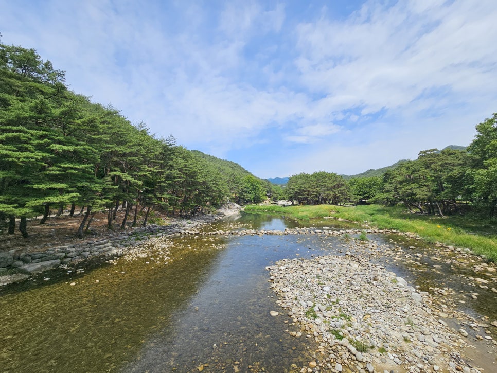 경남 거창 가볼만한곳 수승대 출렁다리 거북바위 둘레길