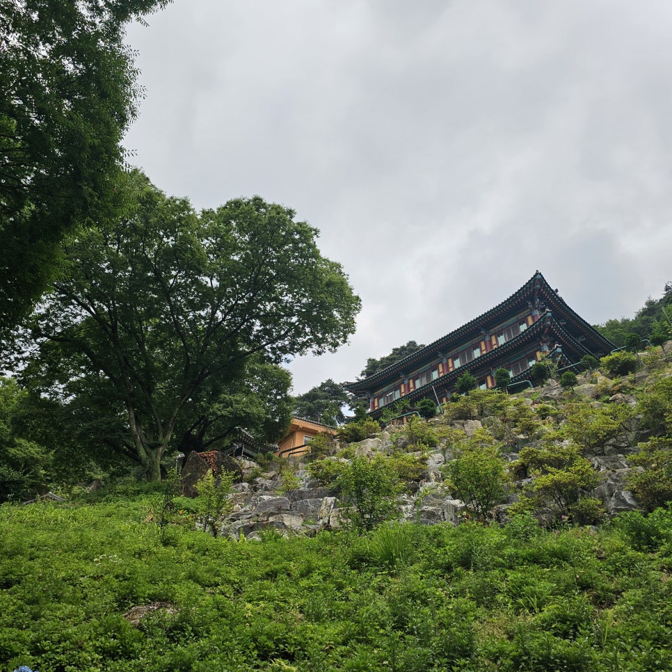 천안 여행 코스 천안 가볼만한곳 전국유명사찰 천년고찰 성불사 관람 포인트