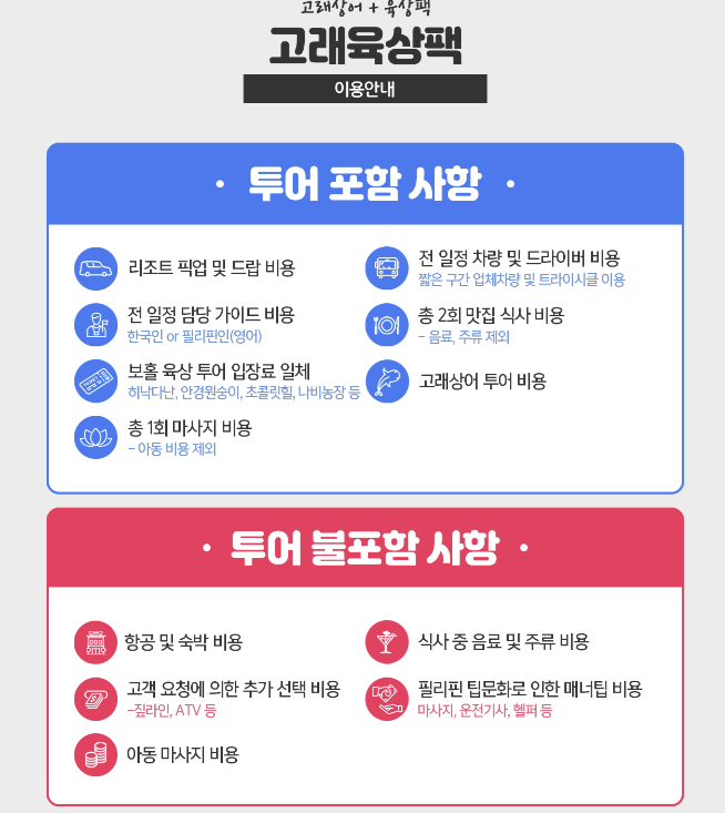 필리핀 보홀 여행 첫날! 보홀 고래상어 투어 가격, 시간, 준비물