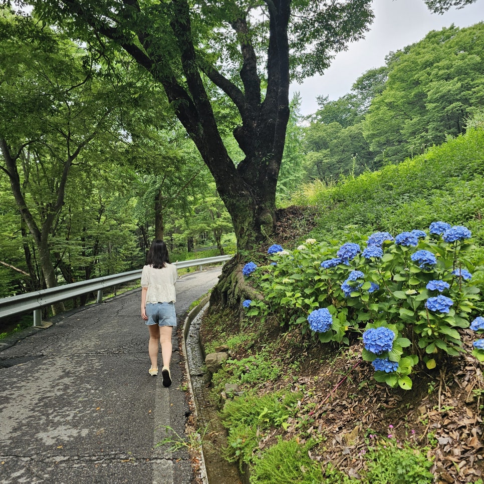 천안 여행 코스 천안 가볼만한곳 전국유명사찰 천년고찰 성불사 관람 포인트