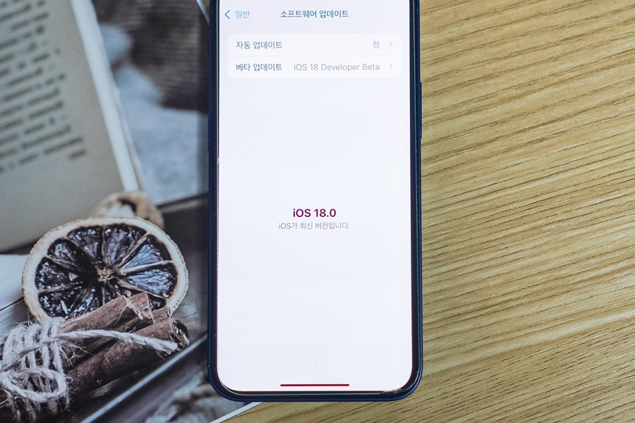 아이폰 iOS 18 업데이트 하는 방법 알아보기 베타버전