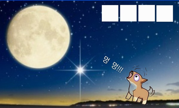 (연재) 제주환경일보 독자 만평 퀴즈