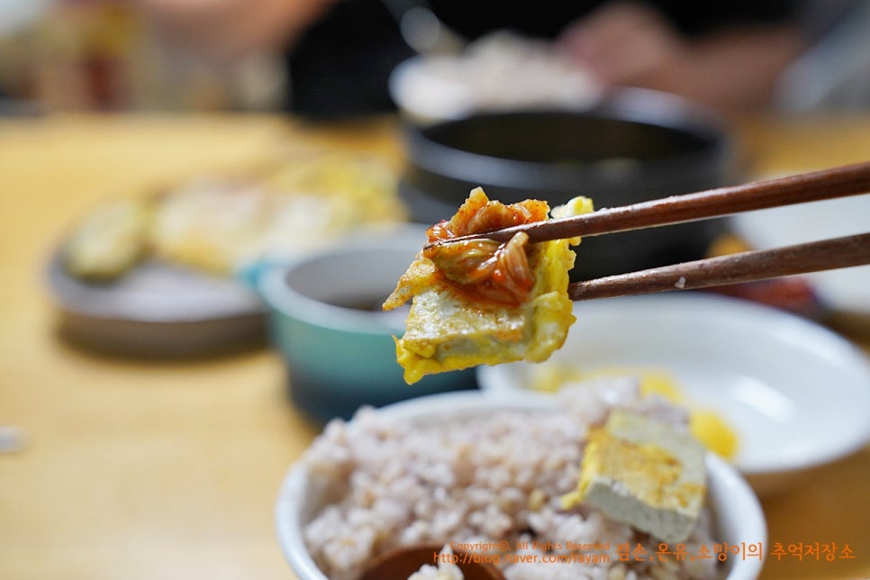 모두부 100%국산콩 찐고소하고 맛있음! 두부요리 두부김치 해먹음