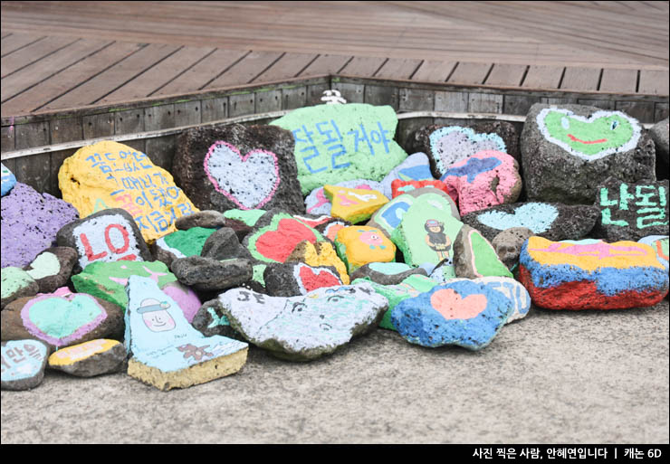 제주 기념품 제주도 기념품샵 서귀포 제스토리 제주 선물 추천 21