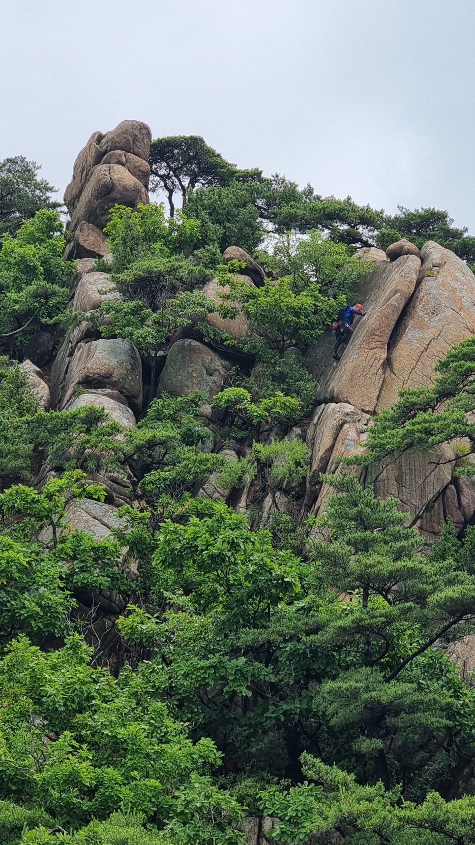 관악산 등산, 러브릿지 (팔봉능선 ~ 수영장능선 ~ 암반계곡) 산행