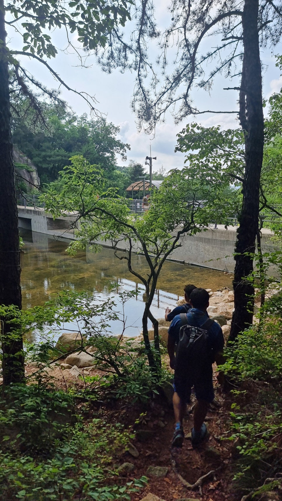 관악산 등산, 러브릿지 (팔봉능선 ~ 수영장능선 ~ 암반계곡) 산행