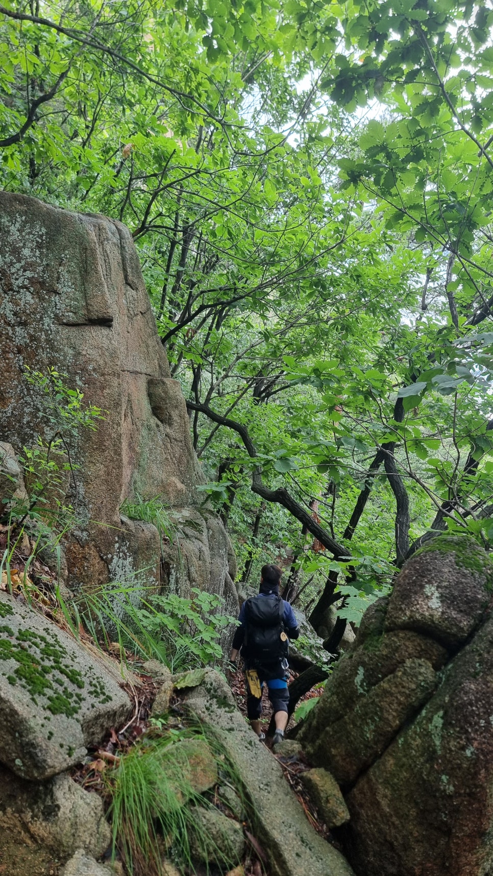 관악산 등산, 러브릿지 (팔봉능선 ~ 수영장능선 ~ 암반계곡) 산행