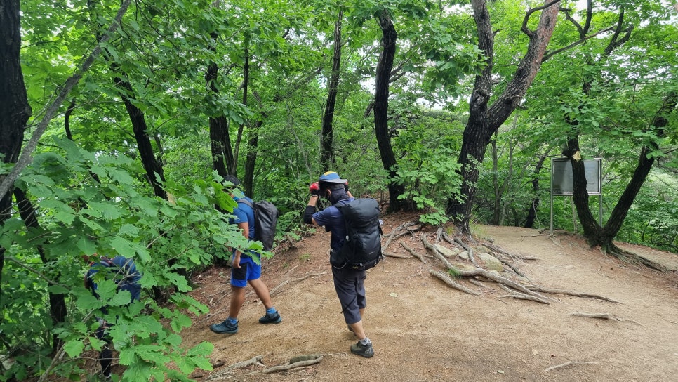 관악산 등산, 러브릿지 (팔봉능선 ~ 수영장능선 ~ 암반계곡) 산행