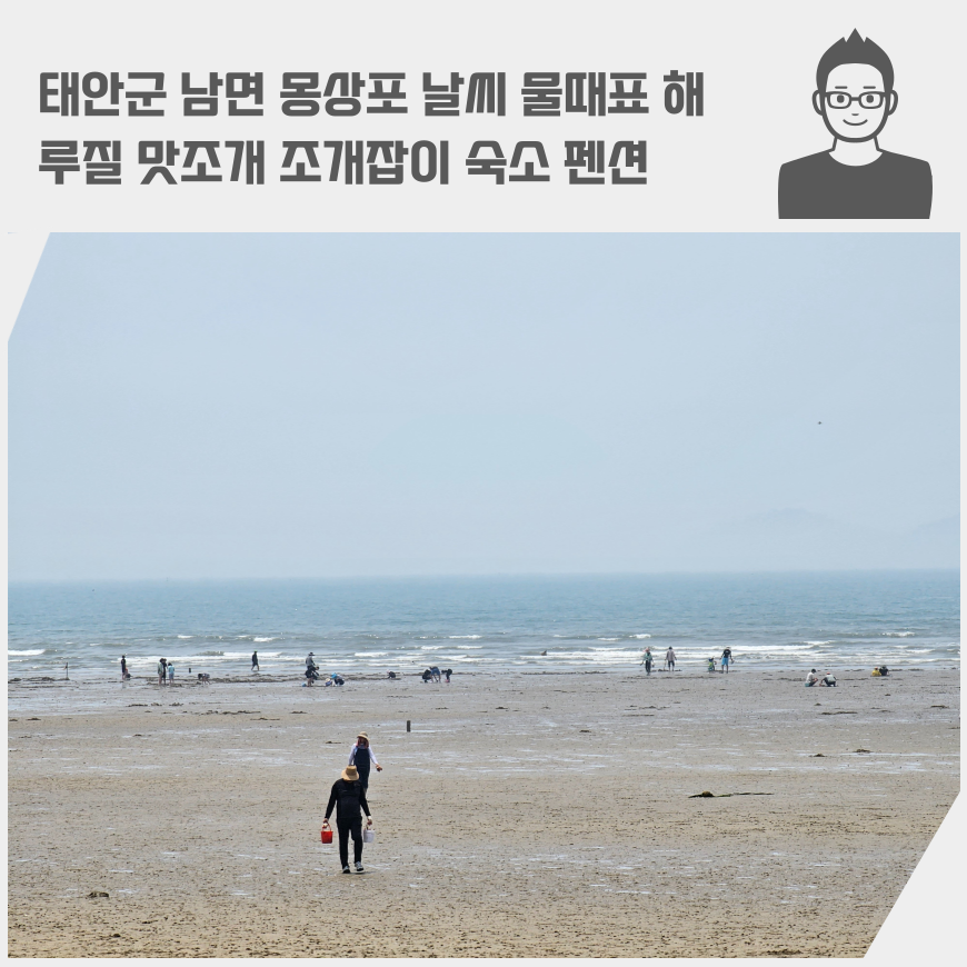 태안군 남면 몽상포 해수욕장 날씨 물때표 해루질 맛조개 조개잡이 숙소 펜션 예약 tip