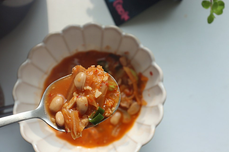 고기없이 청국장맛있게끓이는법 신김치 청국장찌개 만드는 법