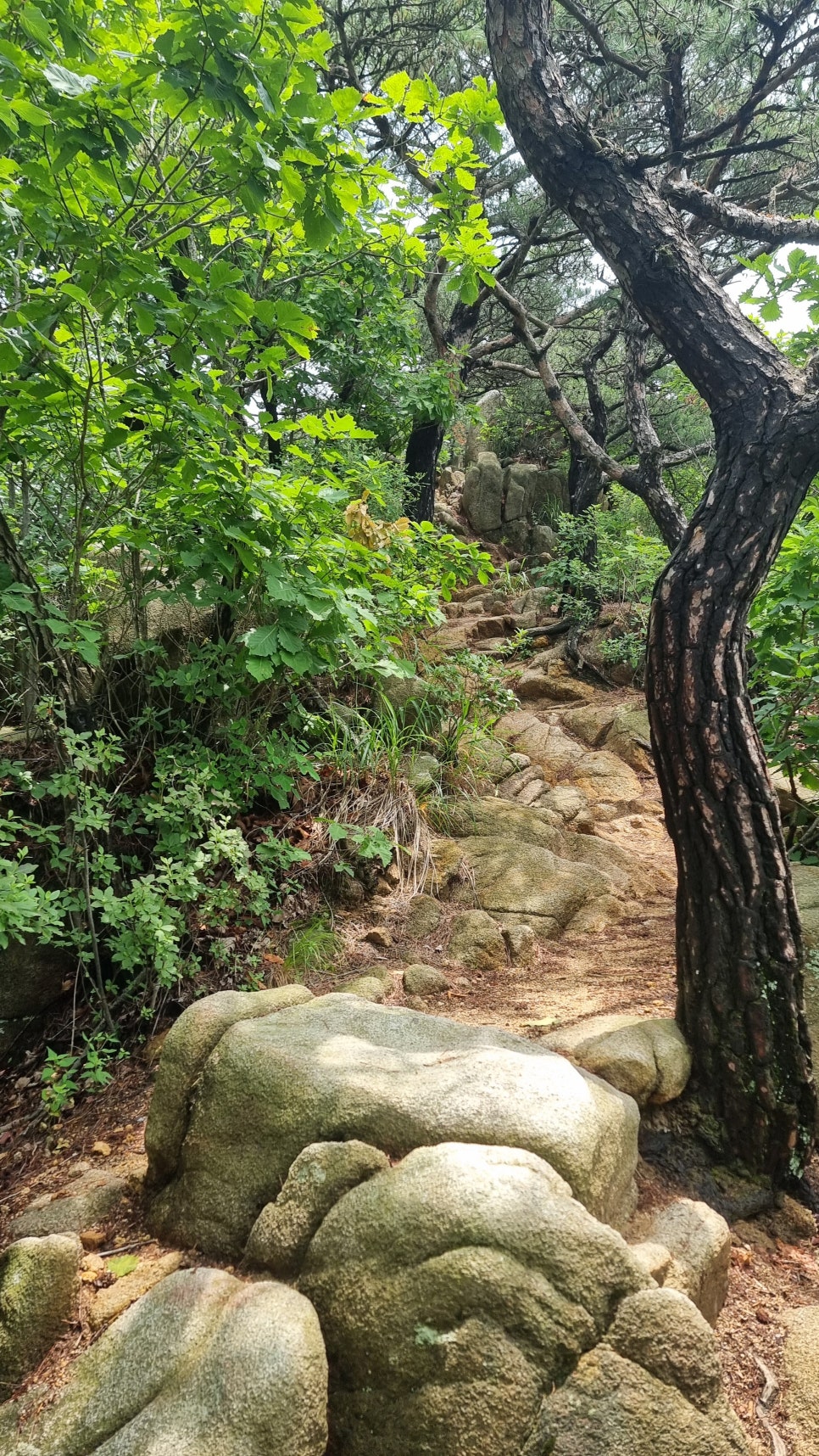 관악산 등산, 러브릿지 (팔봉능선 ~ 수영장능선 ~ 암반계곡) 산행