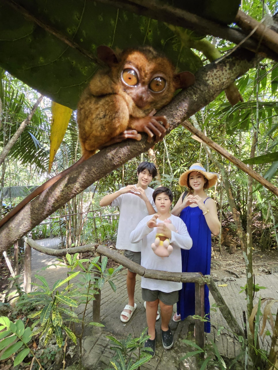 세부에서 보홀여행 당일치기 육상투어 완전 알찼어요