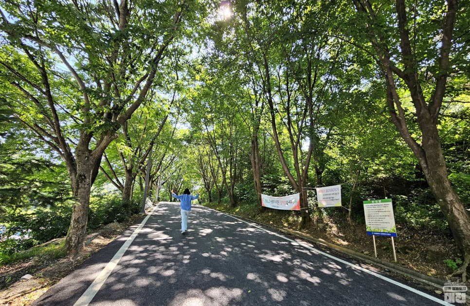 여행하는 달 6월, 방문하기 좋은 계족산 황톳길과 대전 계족산성