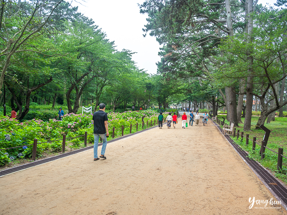 울산 여행 코스 놀거리 볼거리 울산 대왕암공원 출렁다리