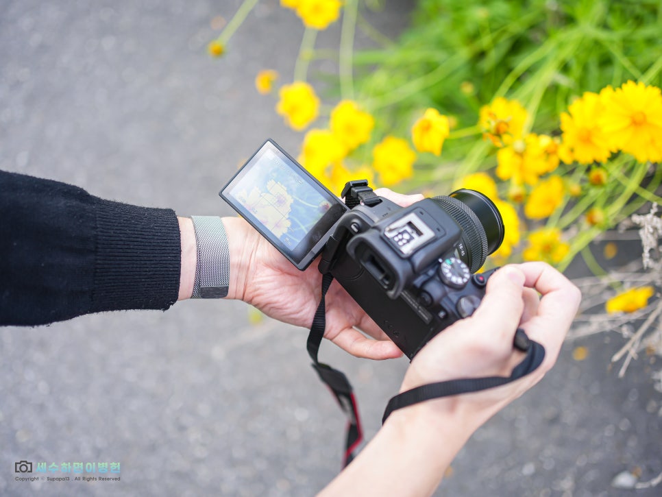 입문용 브이로그 카메라 추천 캐논 카메라 EOS R10