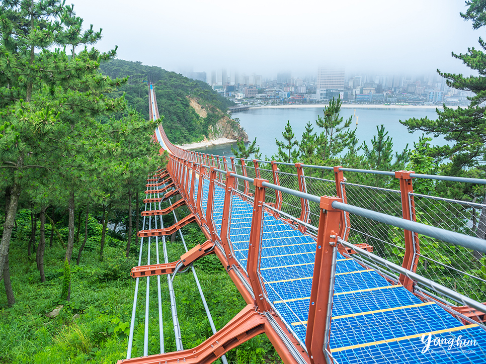 울산 여행 코스 놀거리 볼거리 울산 대왕암공원 출렁다리