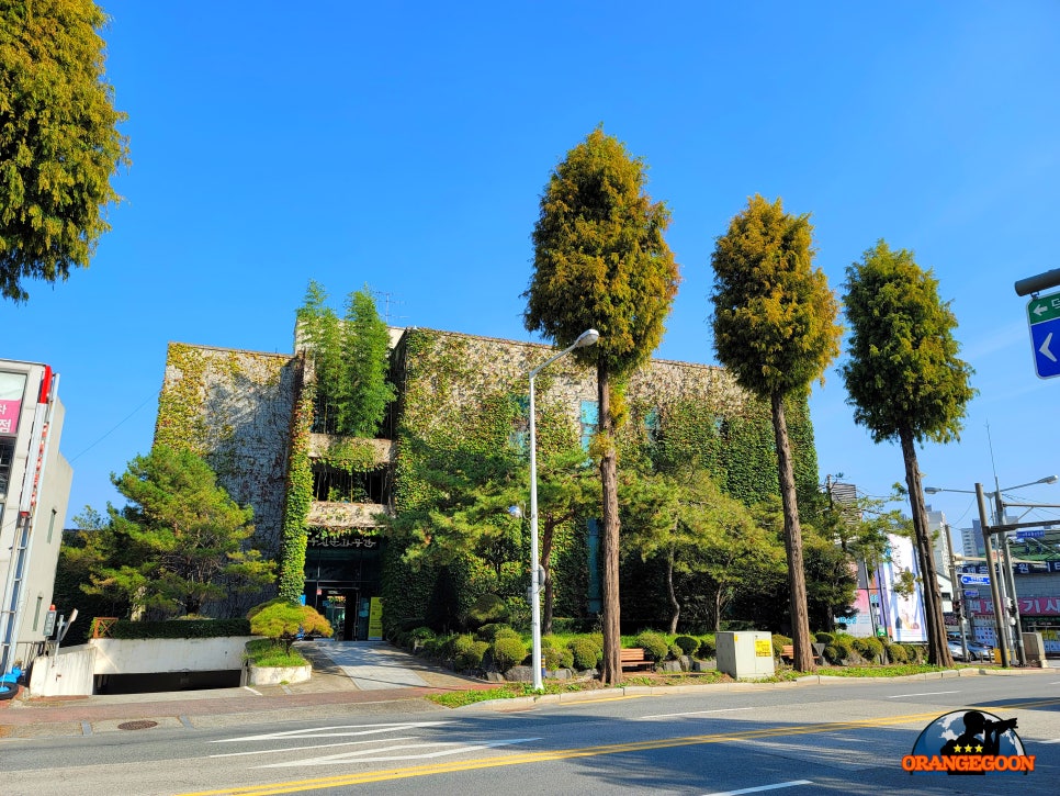 (전북 전주 / 전주 도보여행 #5) 예향의 도시 전주. 멋이 넘치는 전주 곳곳을 뚜벅뚜벅 <현대옥, 전주고속버스터미널, 전주천>