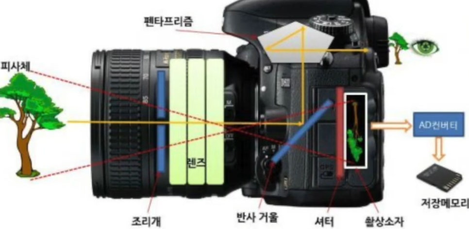 카메라 ISO 설정 및 DOF 개념 이해하기