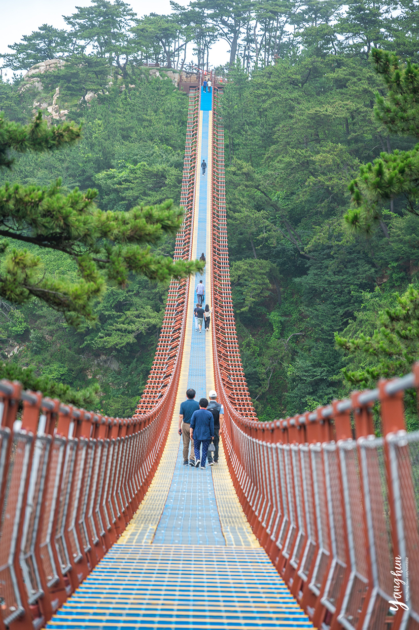 울산 여행 코스 놀거리 볼거리 울산 대왕암공원 출렁다리