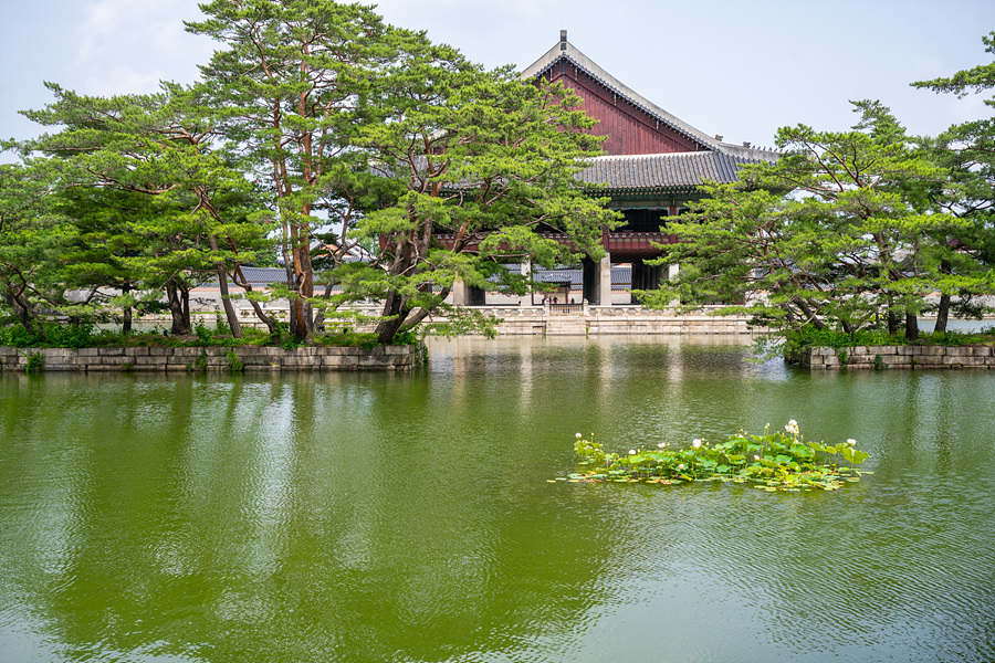 서울 관광지 핫플 종로 데이트 경복궁 향원정 한복 주차장 등