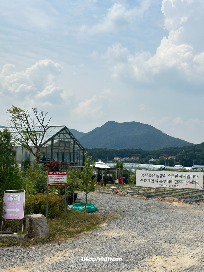 5세아이랑&18개월아기랑 : 용인 체험농장 포레스트벨 (만24개월이하무료)