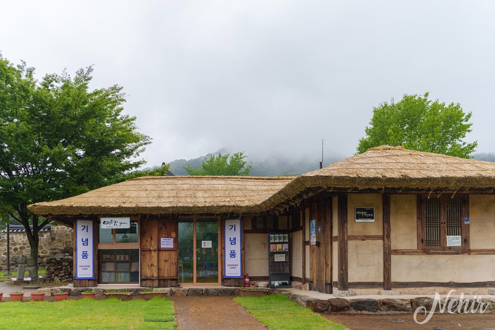 경기도 광주 가볼만한곳 곤지암 화담숲 수국 남한산성 행궁