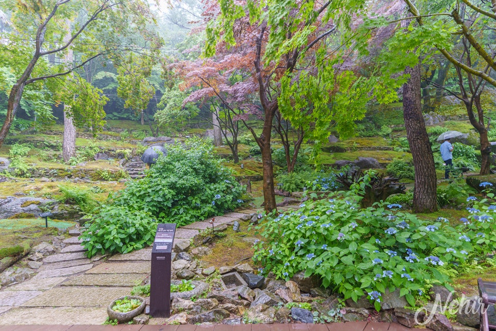 경기도 광주 가볼만한곳 곤지암 화담숲 수국 남한산성 행궁