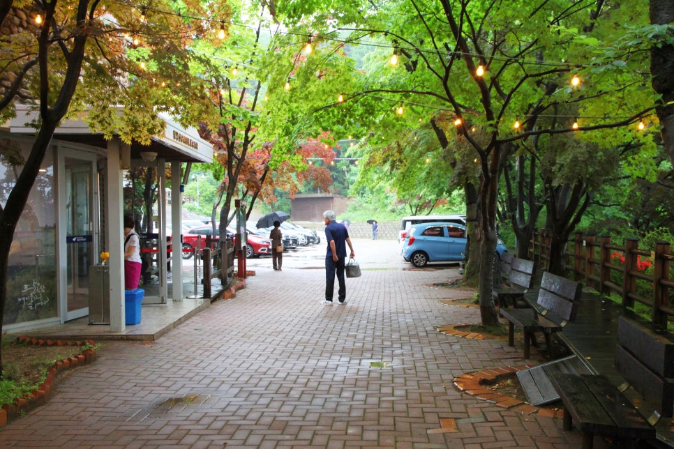 [팔공산국립공원] 팔공산국립공원 동화지구 100배 즐기기