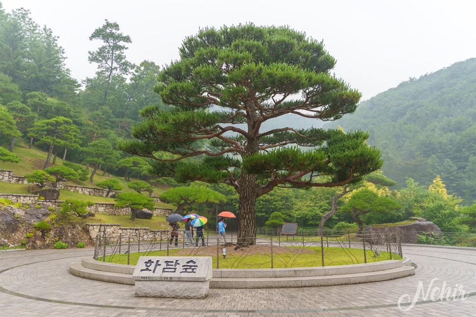 경기도 광주 가볼만한곳 곤지암 화담숲 수국 남한산성 행궁