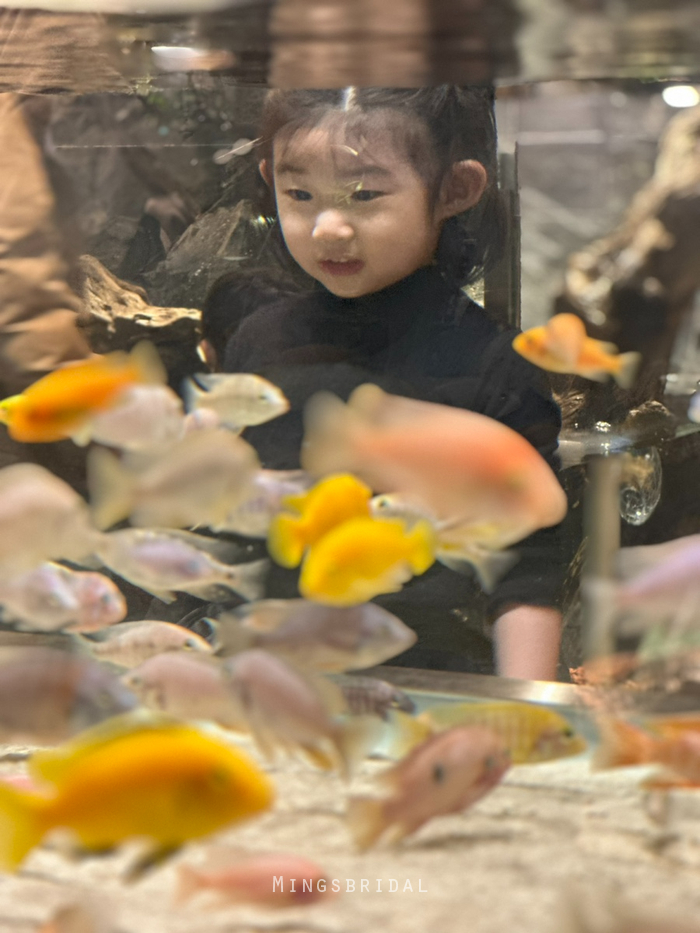 48개월아이랑 & 15개월아기랑 : 가평 실내동물원 " 신비동물원 " 방문후기