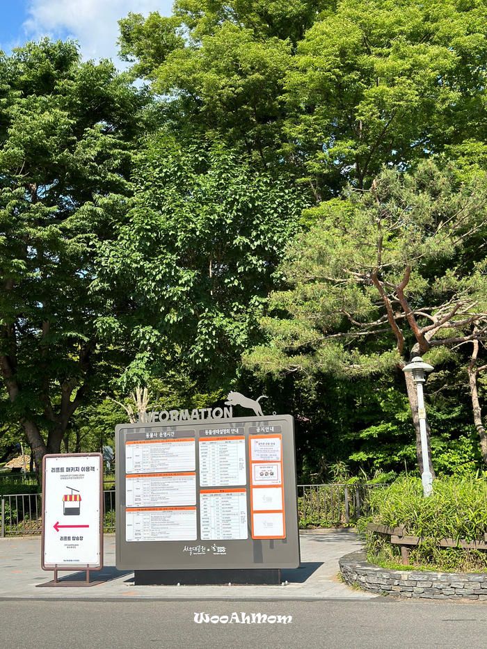 18개월아기랑 : 과천 서울대공원 동물원 추천코스, 주차, 할인정보, 코끼리열차, 리프트 꿀팁