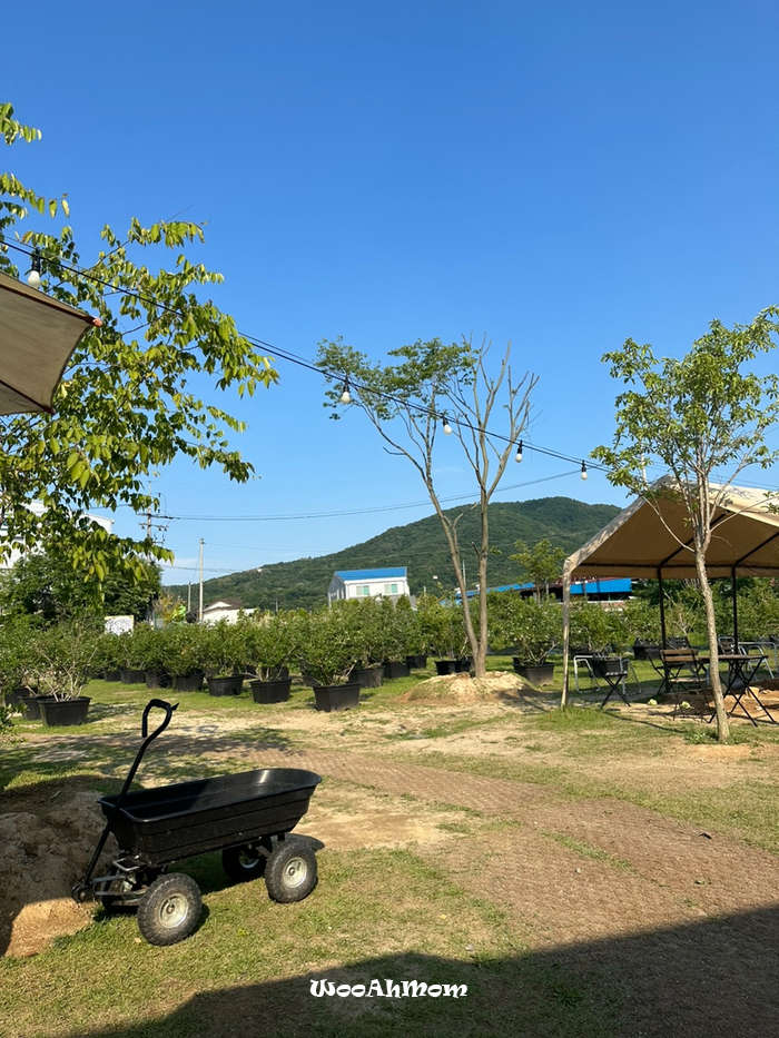 5세아이랑&18개월아기랑 : 용인 체험농장 포레스트벨 (만24개월이하무료)