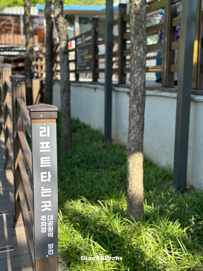 18개월아기랑 : 과천 서울대공원 동물원 추천코스, 주차, 할인정보, 코끼리열차, 리프트 꿀팁