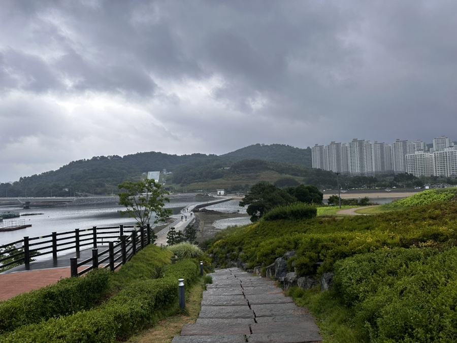 여수 장도 예술의섬 수국구경하러 비오는날 가봄