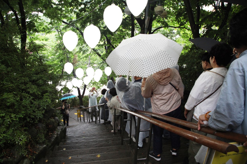 [팔공산국립공원] 팔공산국립공원 동화지구 100배 즐기기